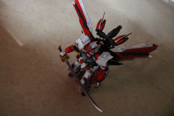 MG red frame seed astray  ( vu du dessus )