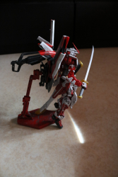 MG red frame seed astray ( vu arrière )
