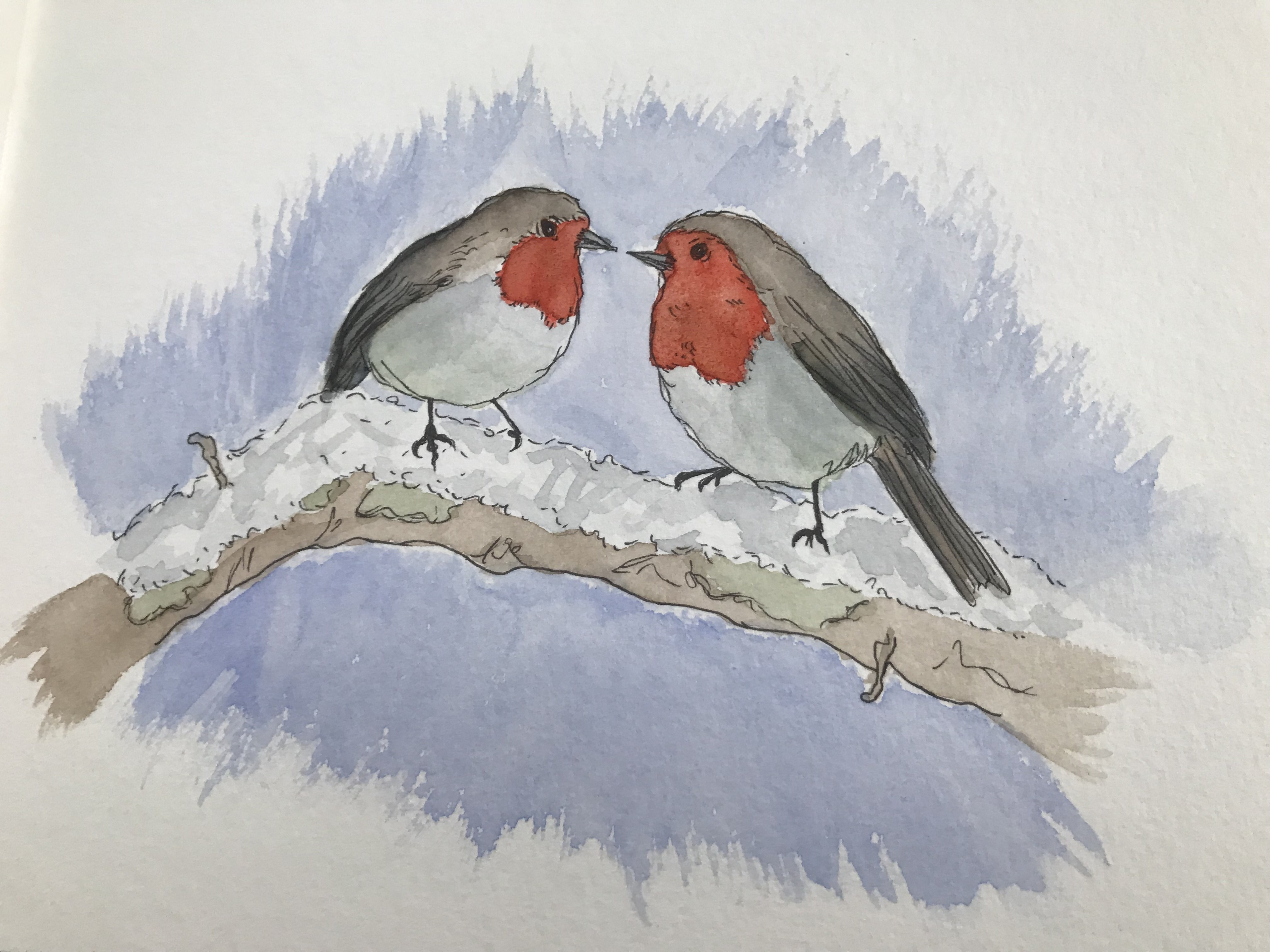 Couple de rouges-gorges (aquarelle)